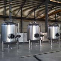 10BBL beer maturation tank beer bright tank beer storage tank